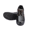 Coogar Shoes - 005